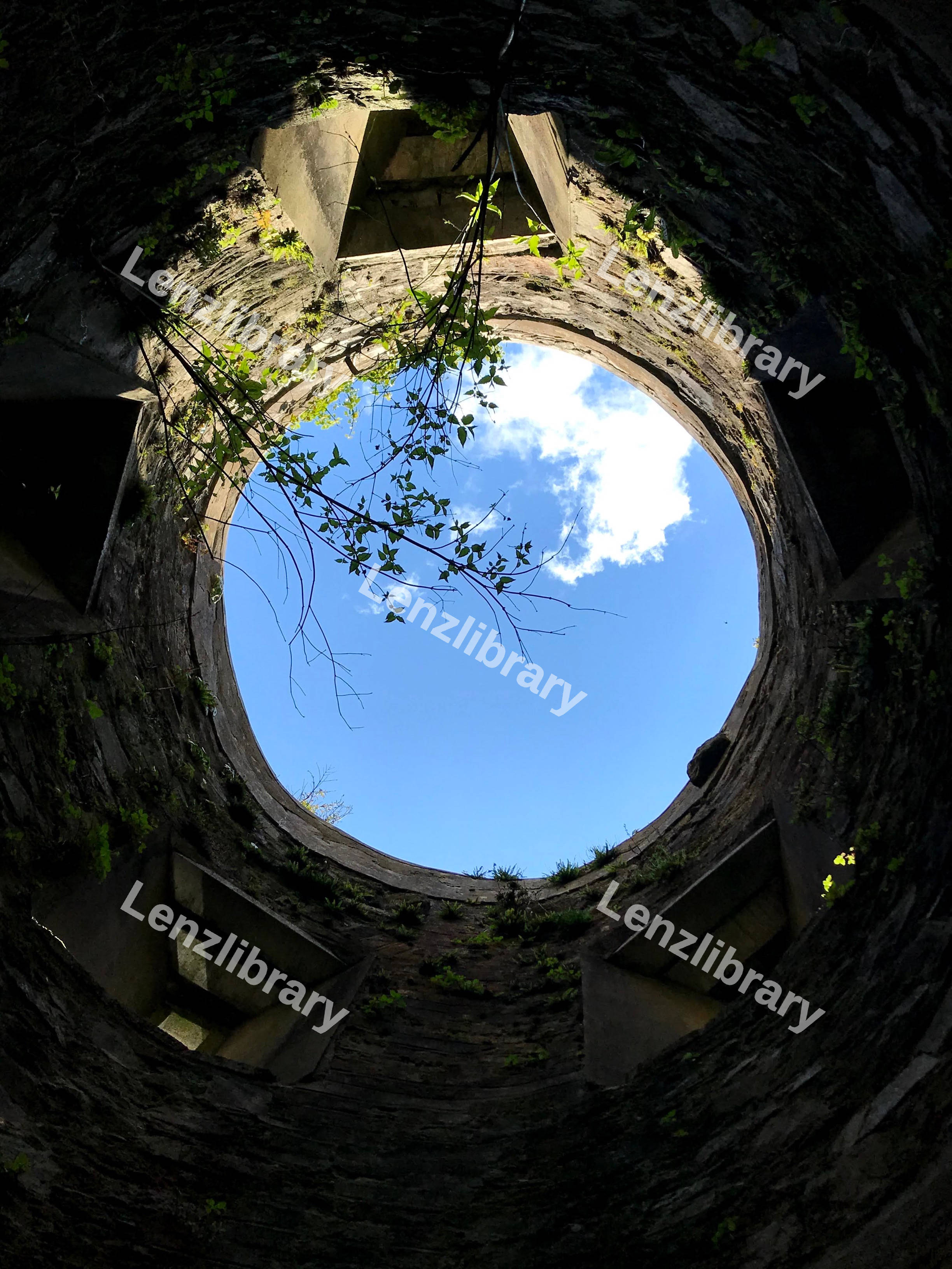 Up Shot VIew In A Hole